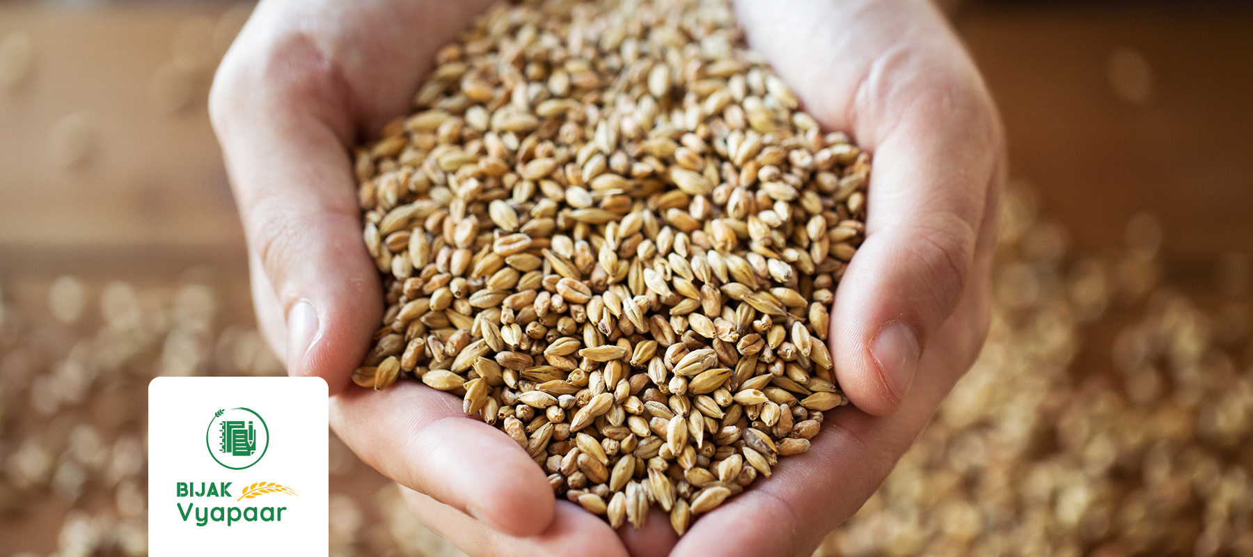 Bijak Vyaar Image of grains